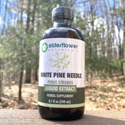 White Pine Needle Extract
