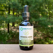 Artemisia Annua Extract