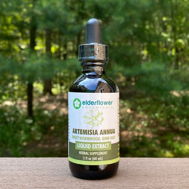 Artemisia Annua Extract