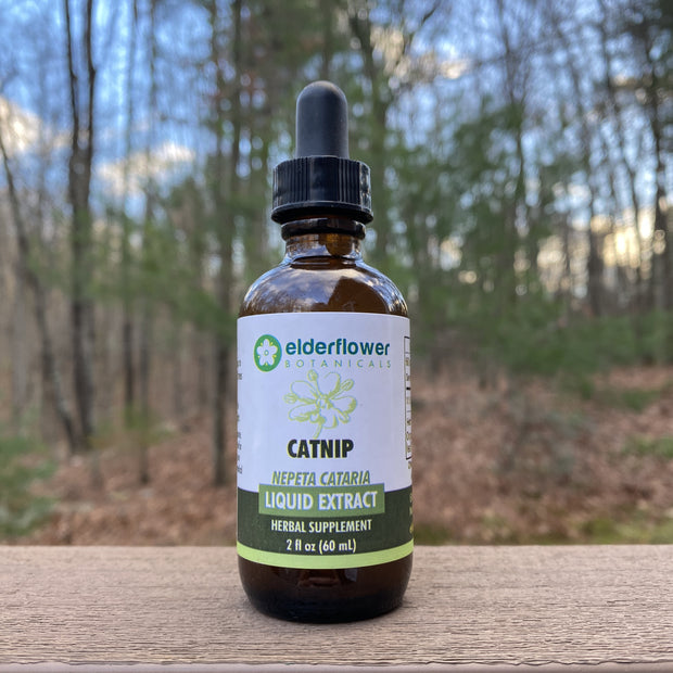Catnip Extract