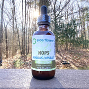 Hops Herbal Extract
