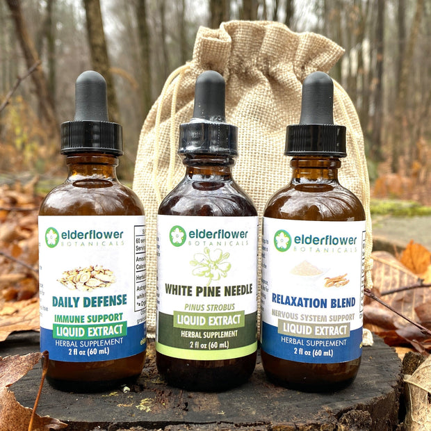 Three bottles of elderflower botanicals on a wooden stump with a forest background