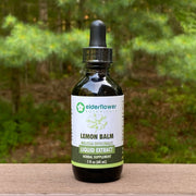 Lemon Balm Herbal Extract
