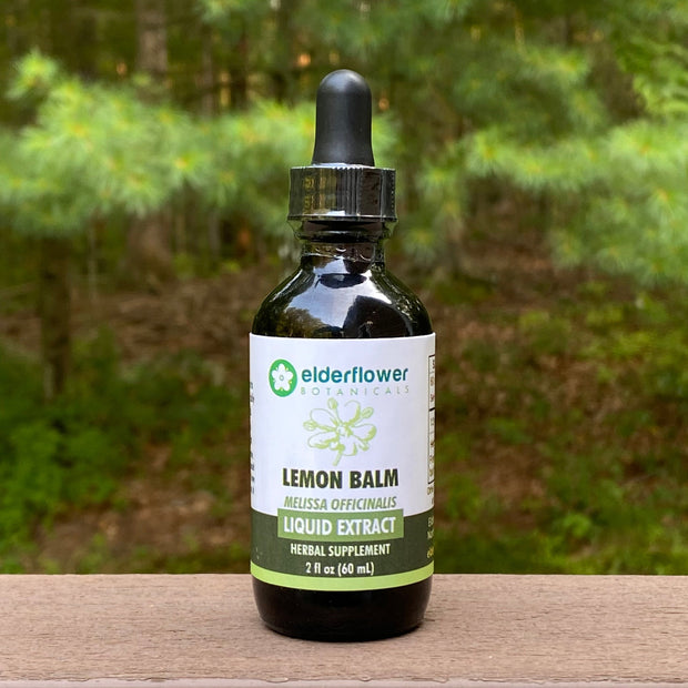 Lemon Balm Herbal Extract