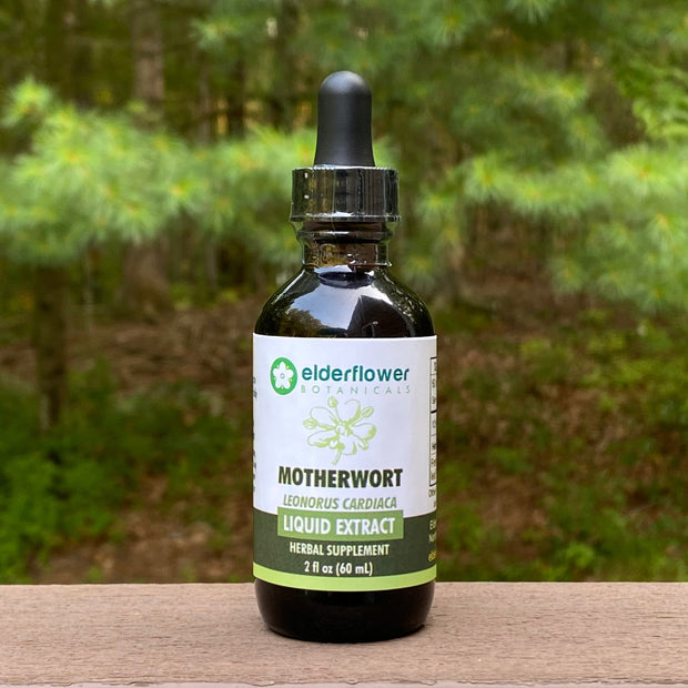 Motherwort Herbal Extract