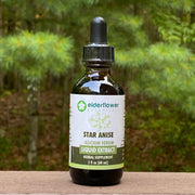 Star Anise Extract