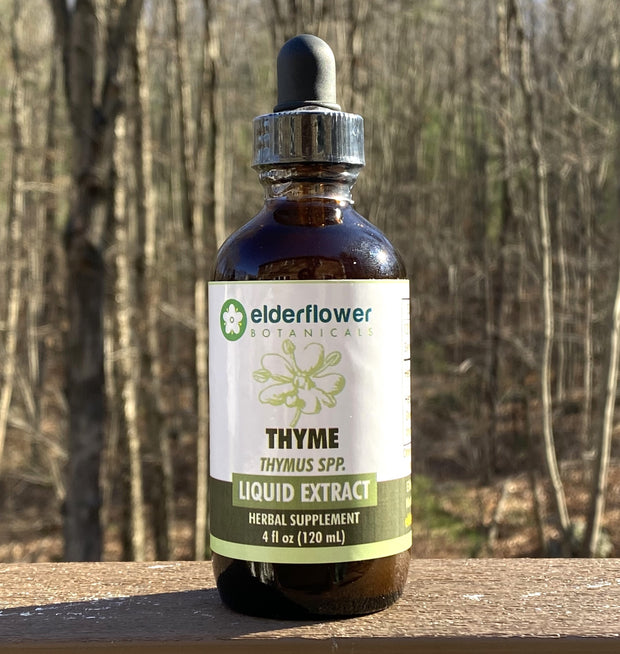 Thyme Herbal Extract