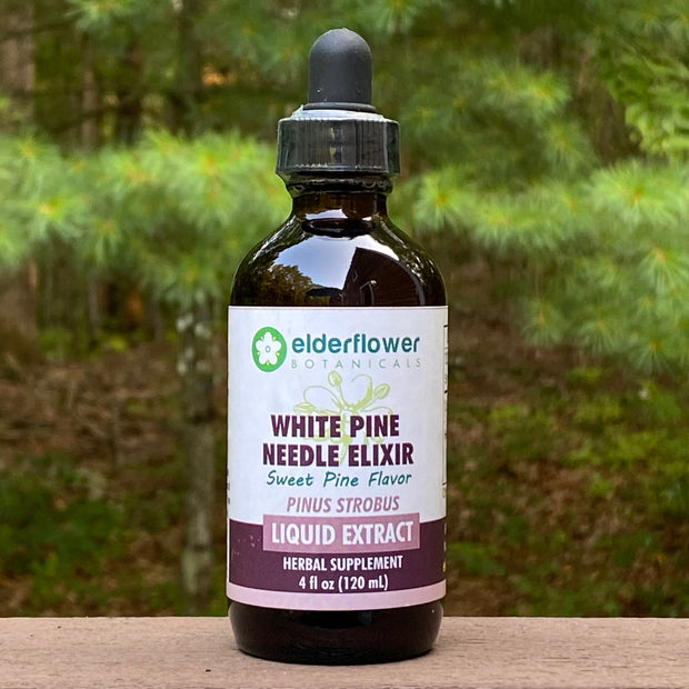 White Pine Needle Elixir