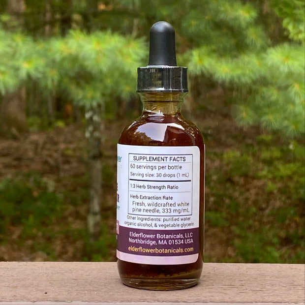 White Pine Needle Elixir