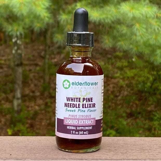 White Pine Needle Elixir