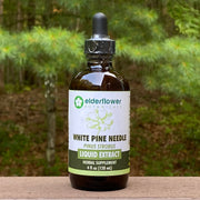 White Pine Needle Extract