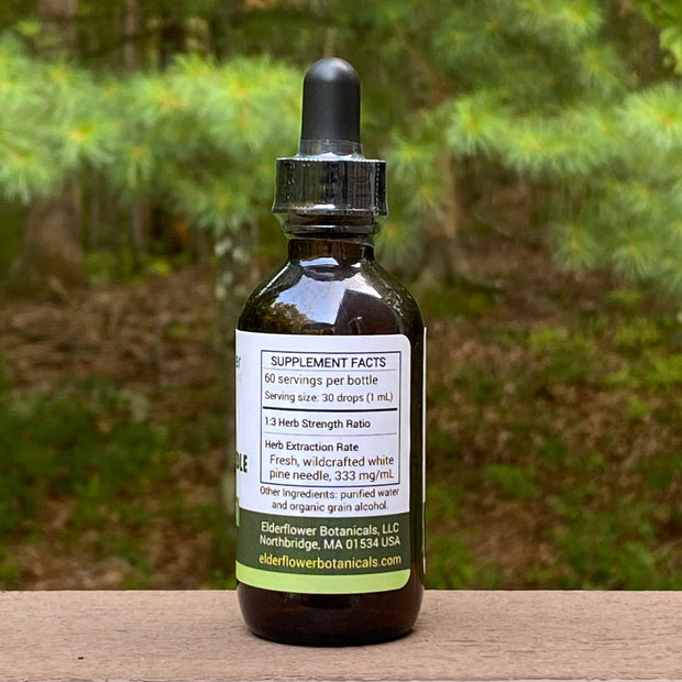 White Pine Needle Extract
