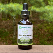 White Pine Needle Extract