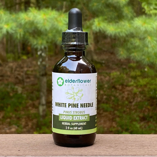 White Pine Needle Extract