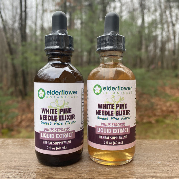 White Pine Needle Elixir