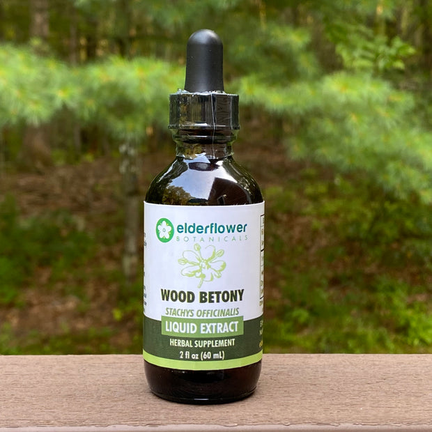 Wood Betony Herbal Extract