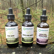 Shikimic Acid Trio Bundle