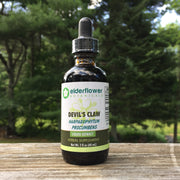 Devil's Claw Extract