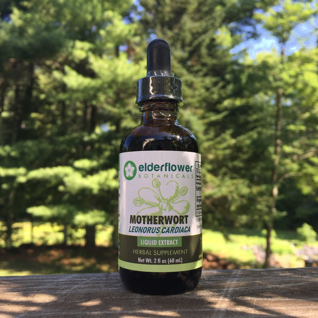 Motherwort Herbal Extract, Organic Tincture, Leonorus Cardiaca, Relaxation, Heart, Reproductive Support